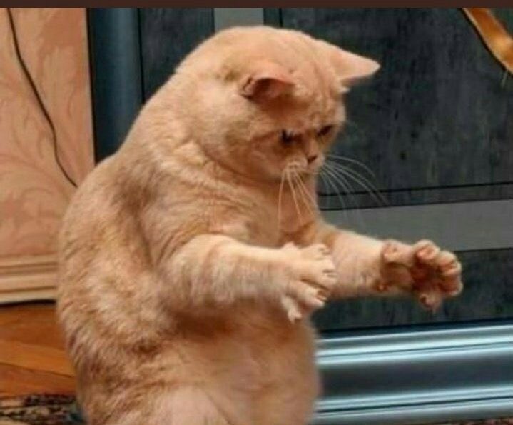 𝕶𝖚𝖇𝖎𝖑𝖆𝖞👹 tweet media