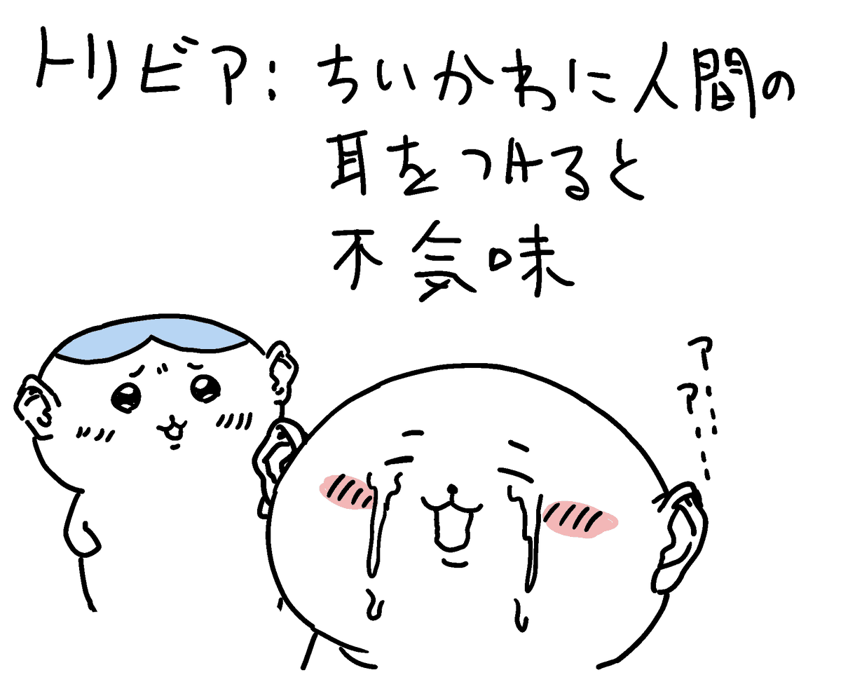 今日の発見 