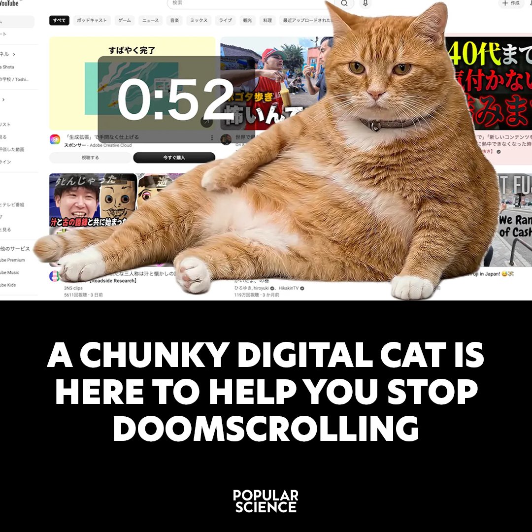 Popular Science tweet media