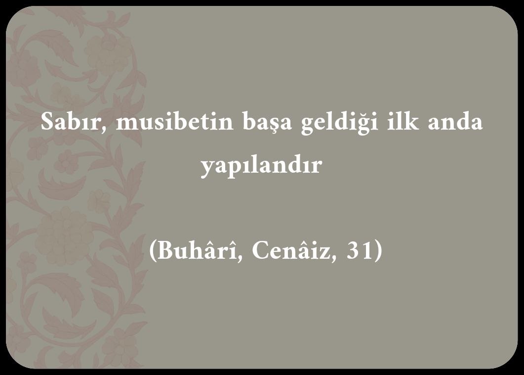 Büşra CAN (@bracan12102478) on Twitter photo 