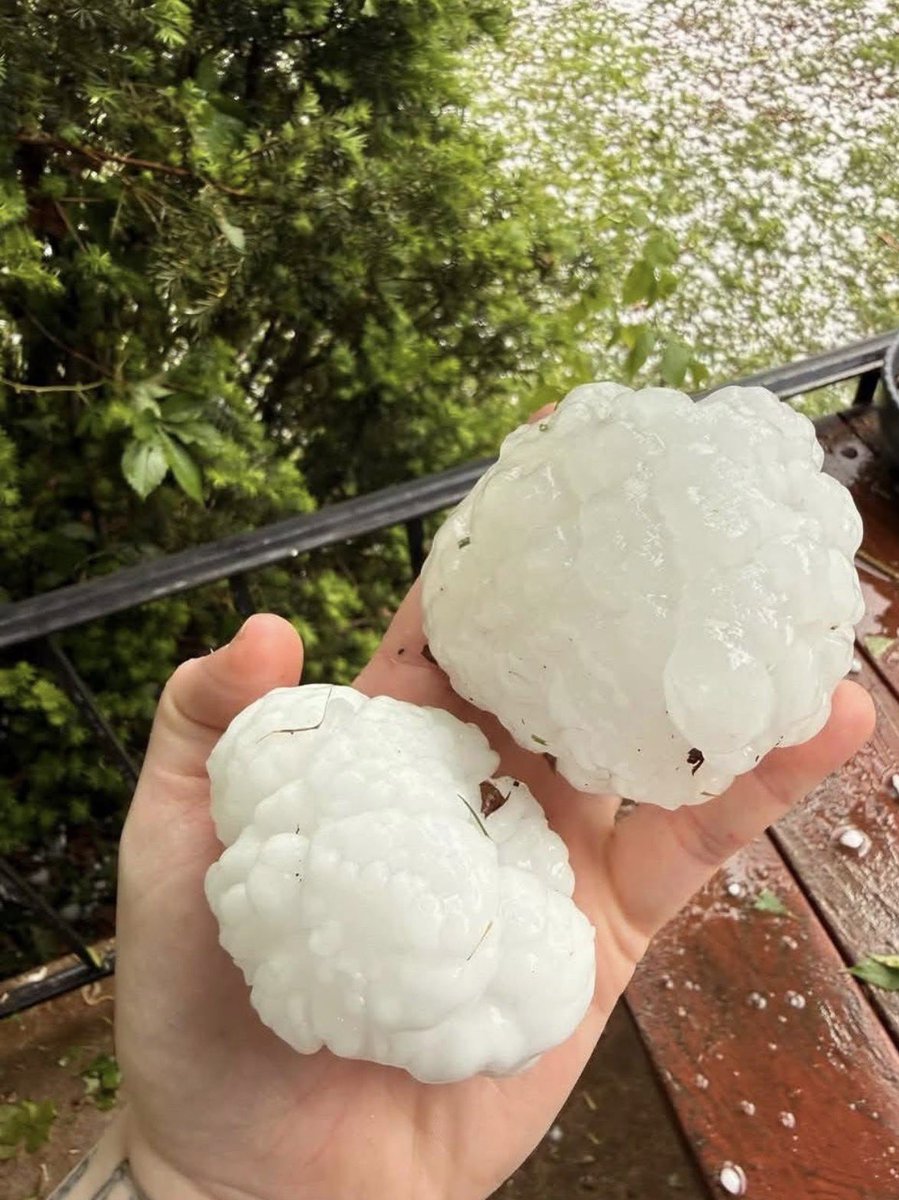 Scott 🇺🇸 tweet media