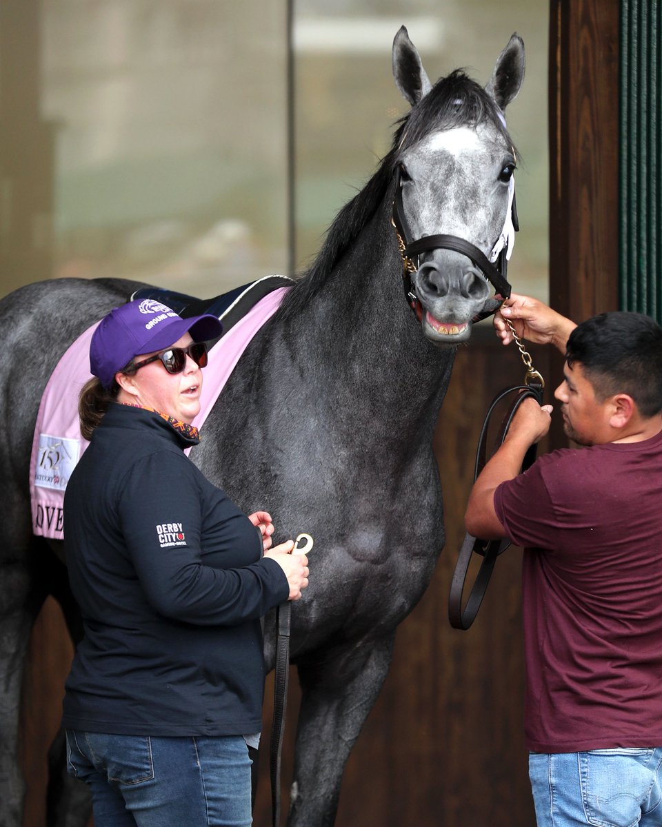 Coady Media tweet media