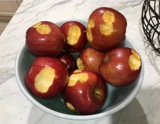 Marciano tweet media