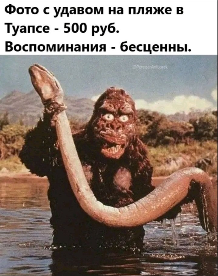 заряджений свободою tweet media