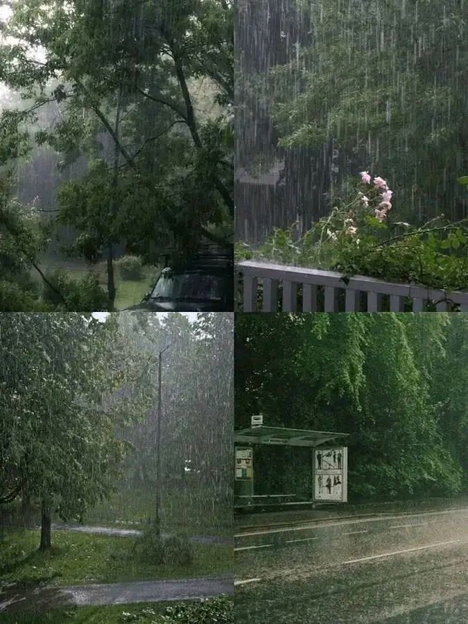 ⛆ 🌧️ ⛆ tweet media