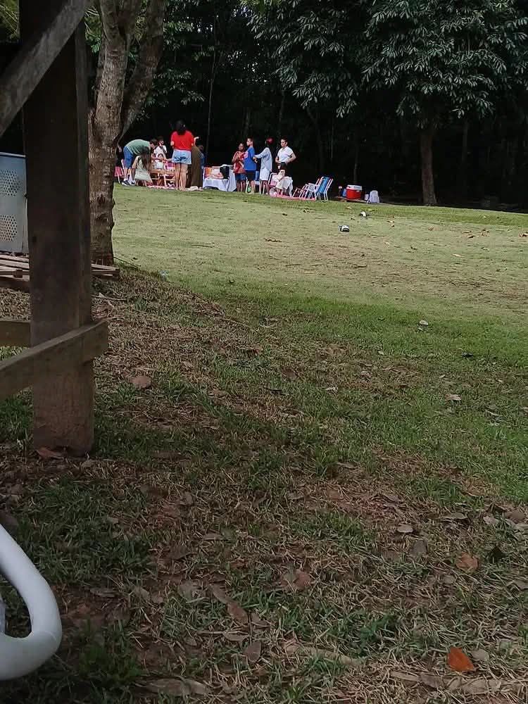 Raphael Memes tweet media