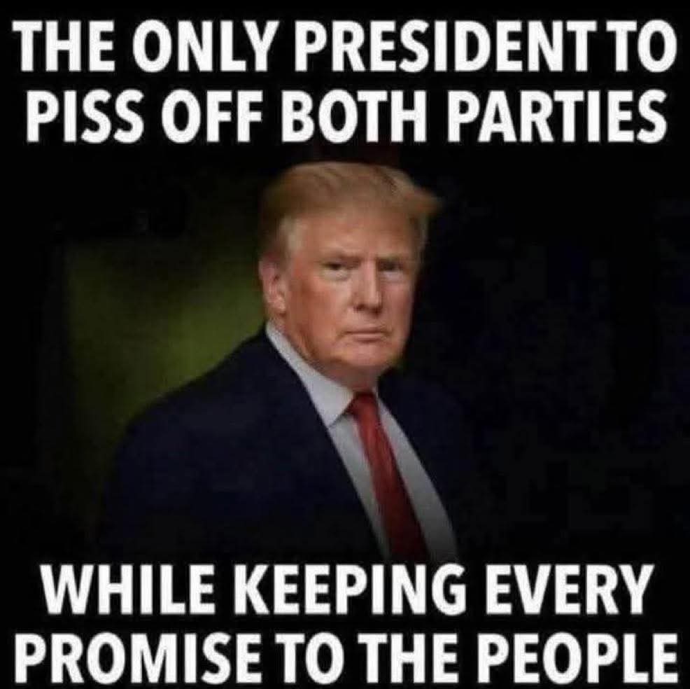 𝕁𝕦𝕕𝕚𝕥𝕙 tweet media