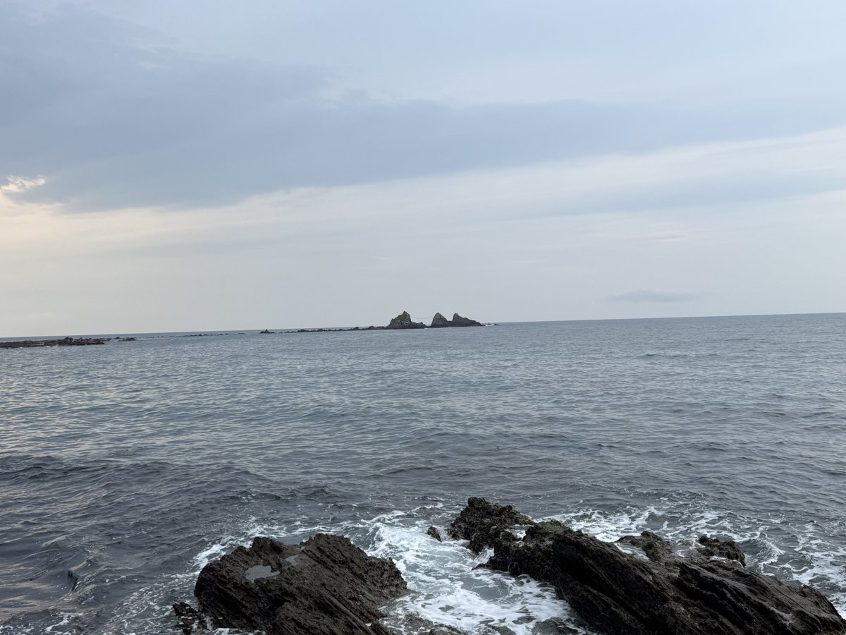 ぺっぱー警部@悪質タックルおじさん tweet media