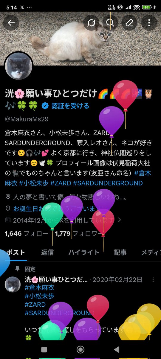 洸🌸願い事ひとつだけ🌈🌈🌈🌌🦉🎶🍀🍀 tweet media