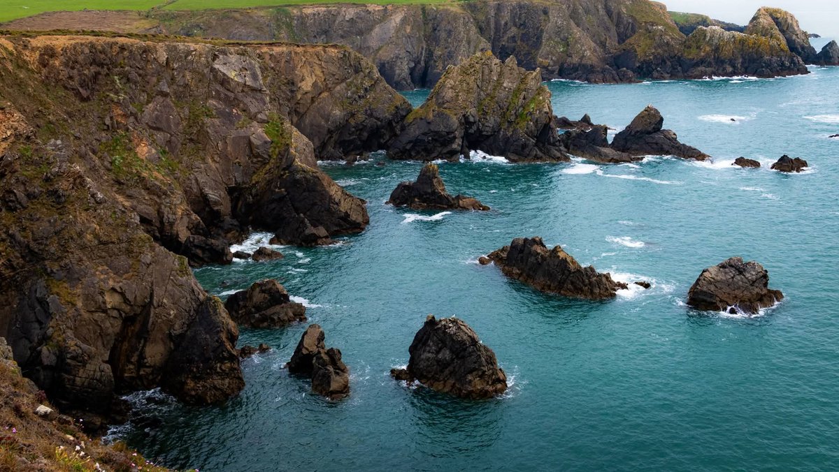 ThisIsIreland3's tweet image. There's something special about the first cut and animals back filling the fields 🏞️🐄🐄

📸 Bella Deight

#Ireland #Spring #Cattle #Countryside