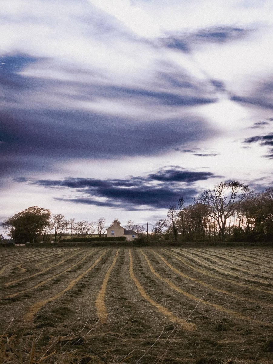 ThisIsIreland3's tweet image. There's something special about the first cut and animals back filling the fields 🏞️🐄🐄

📸 Bella Deight

#Ireland #Spring #Cattle #Countryside