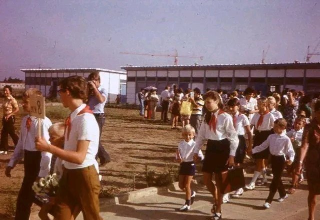 Algerian Visuals 🇩🇿 tweet media