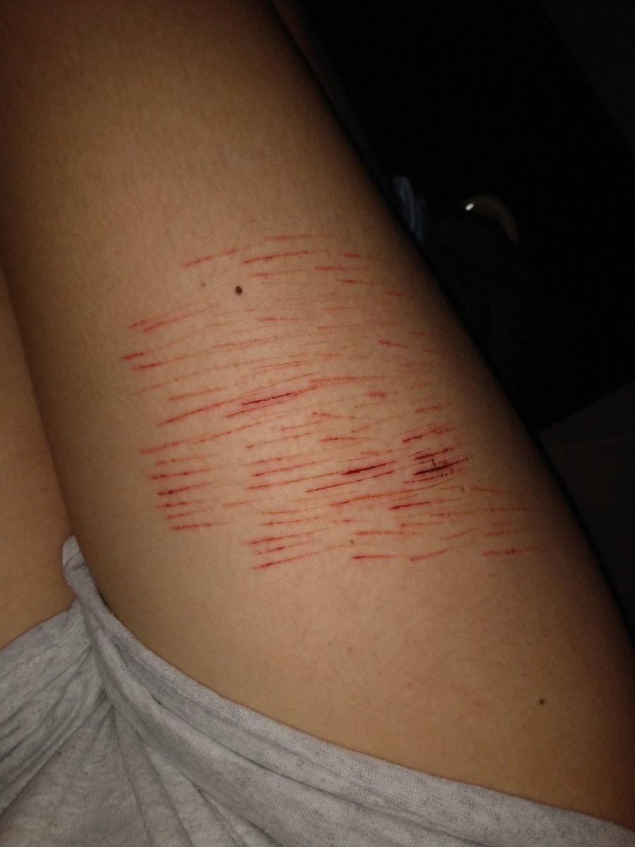 ⪼∘「ᴢᴜᴋᴀ」ᴏғ sʜᴛᴡᴛ tweet media