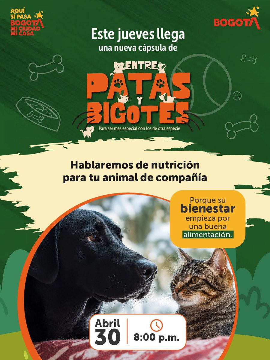 Protección Animal Bogotá tweet media