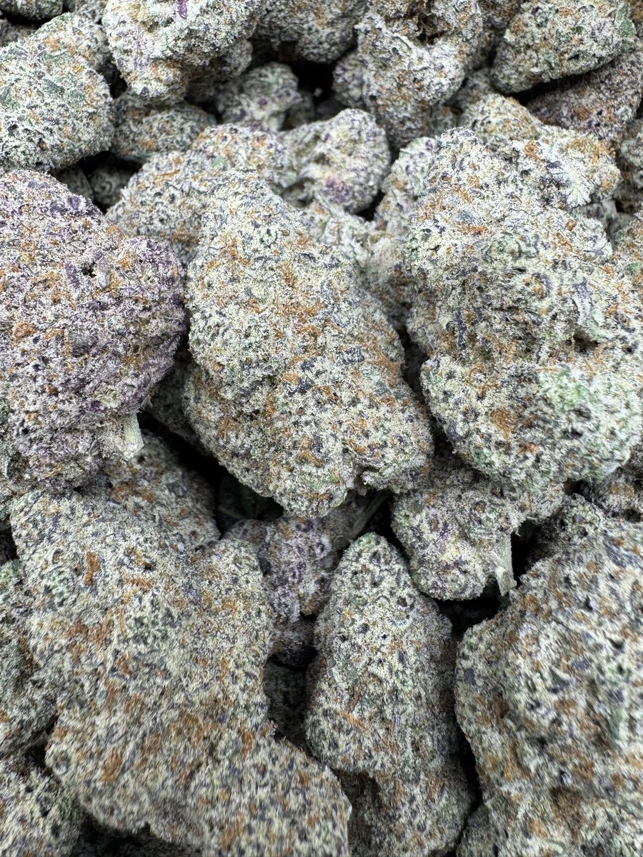 Colorado Exotics 🏔️ tweet media