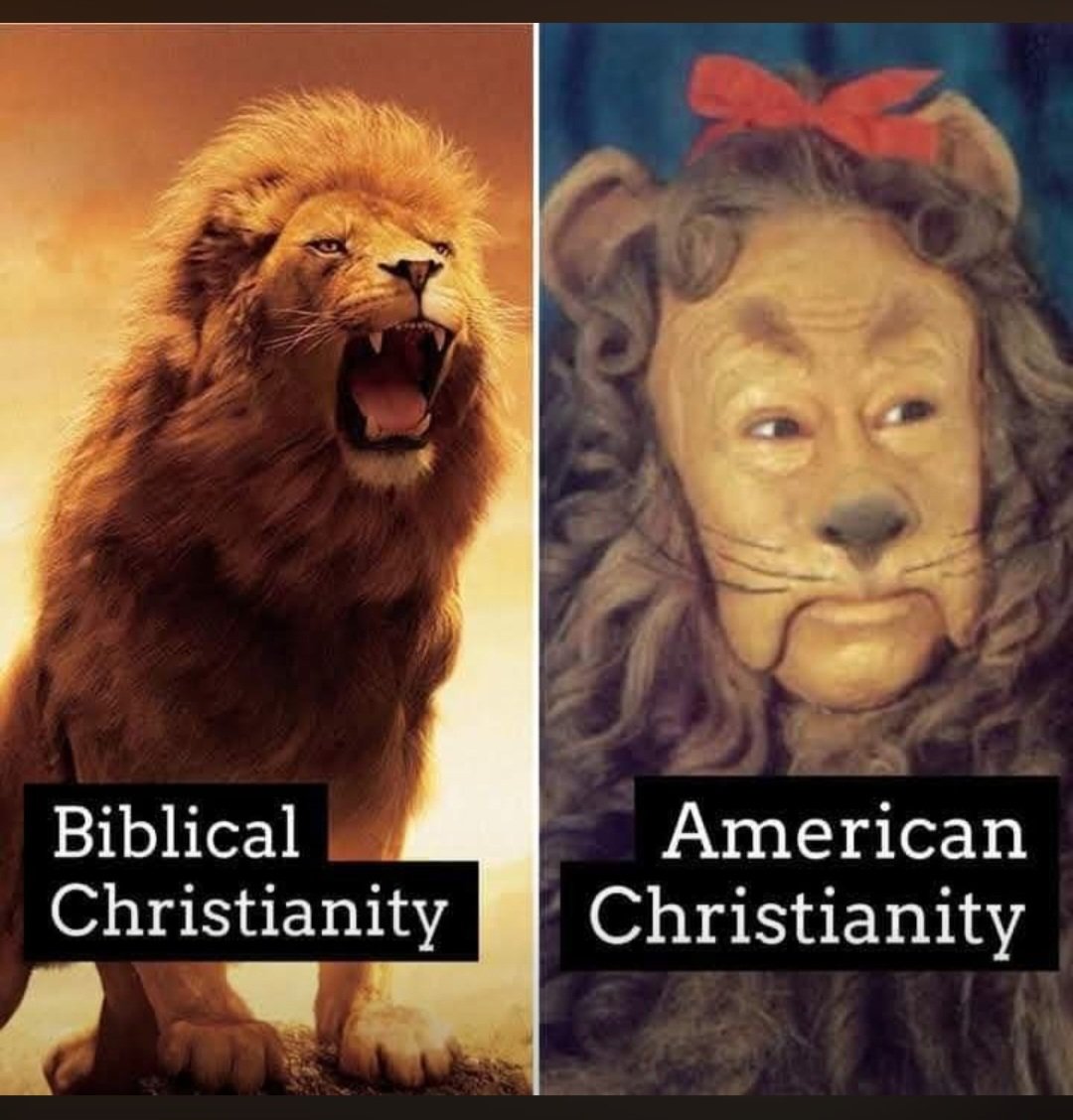 Karen Kennedy tweet media