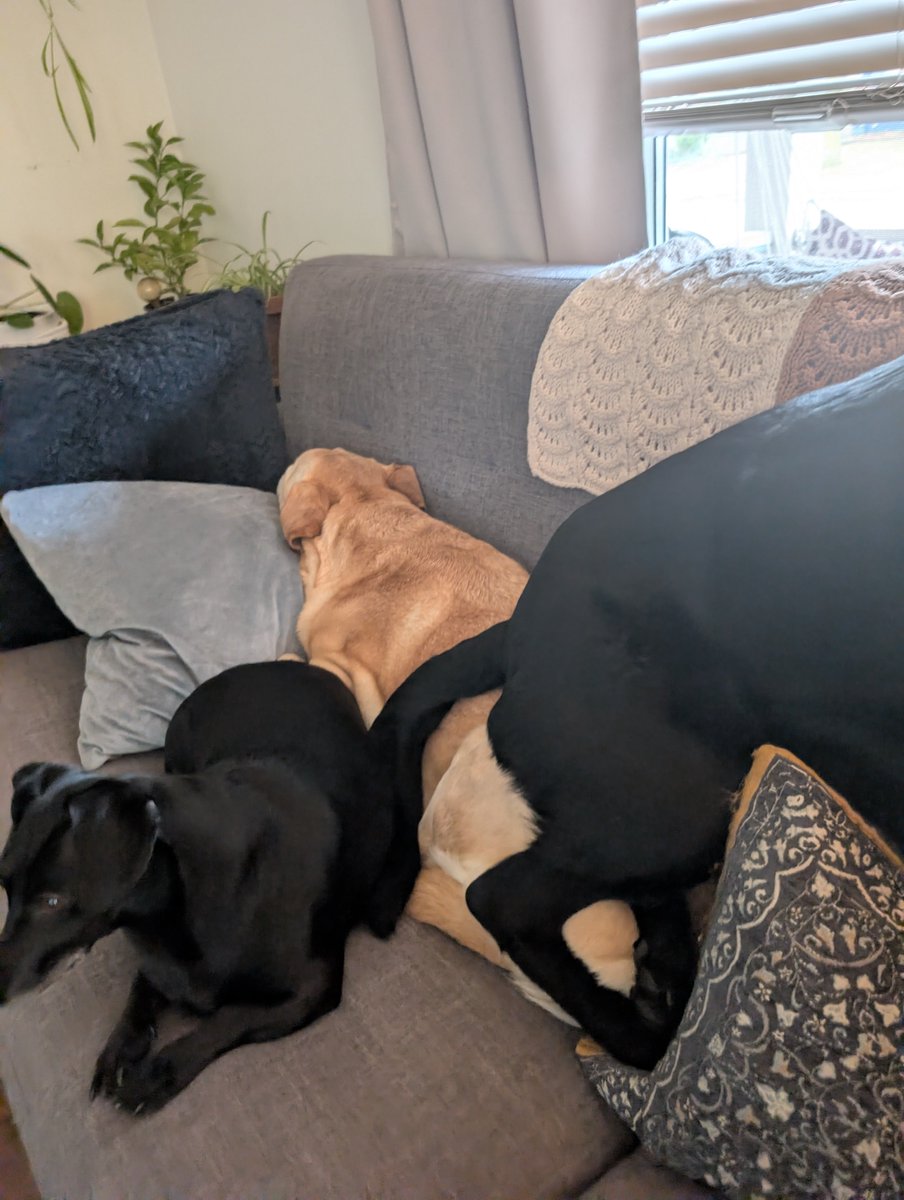 project hail kiki ! tweet media