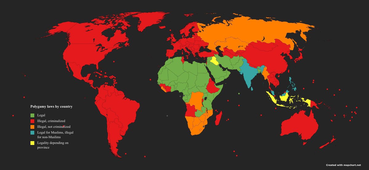 Restitutor Orientis 🇱🇮 tweet media