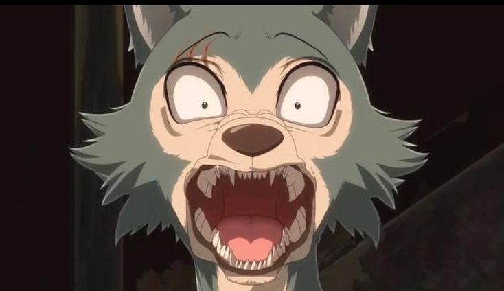 Koyah D'Riz 🐏🐻 tweet media