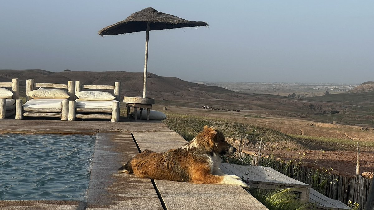 ferskov_'s tweet photo. Discover the Magic of Morocco with Us!
 https://t.co/K77AsEdupK
WhatsApp at +1 201 899 6899

Book your dream trip now and create memories that will last a lifetime!

#MOROCCO  #travelwithkenn #vuittontravel #travel #morocco #casablanca #marakesh #rabat #fes #luxurytravel https://t.co/oY6rWIv59y