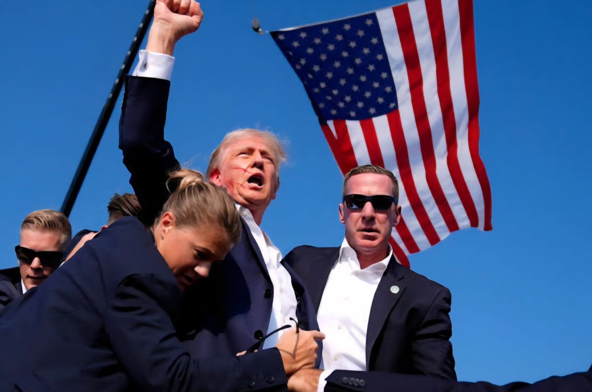 Julian Assange tweet media