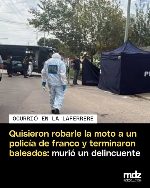 Otra rata menos..