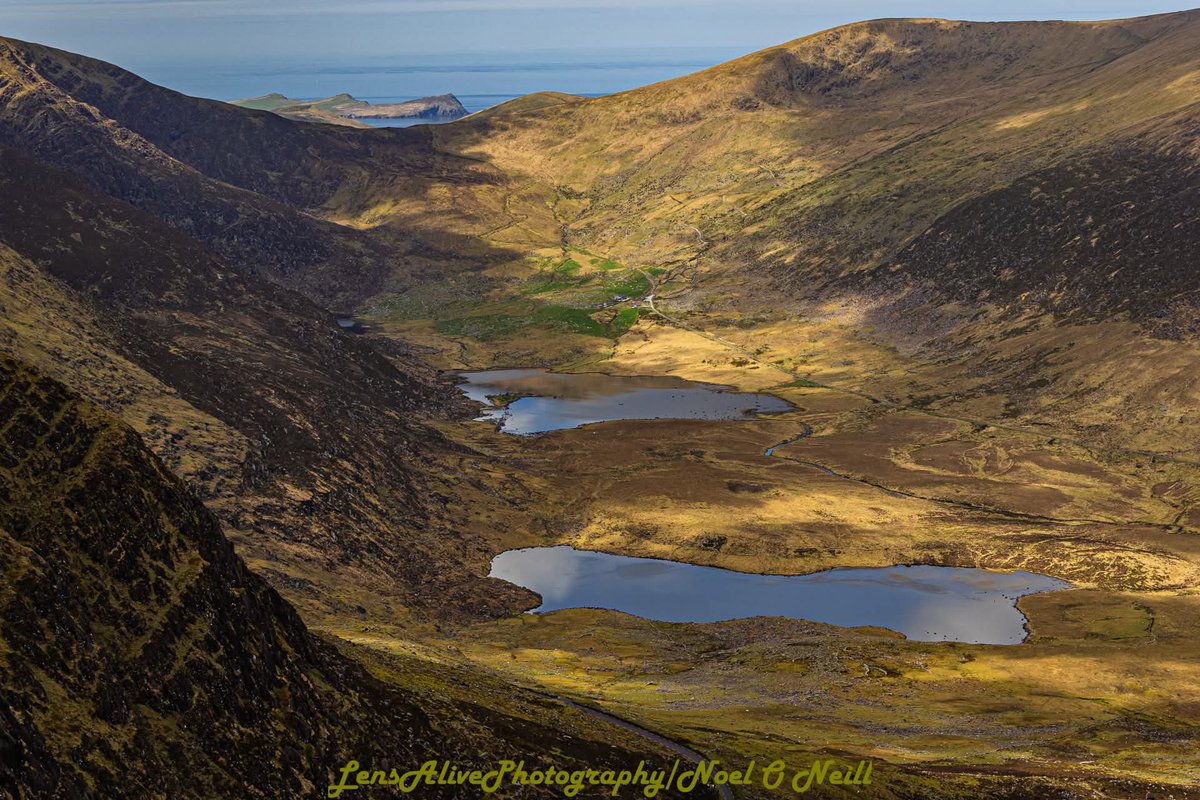 ThisIsIreland3's tweet photo. A few shots taken yesterday from the Conor Pass area, spectacular ๐๏ธโฐ๏ธ
๐Dingle, County Kerry ๐ฎ๐ช
๐ธ Noel O' Neill
#Kerry #Ireland #Dingle #Hiking #Conorpass https://t.co/4KBFLkj6Tm
