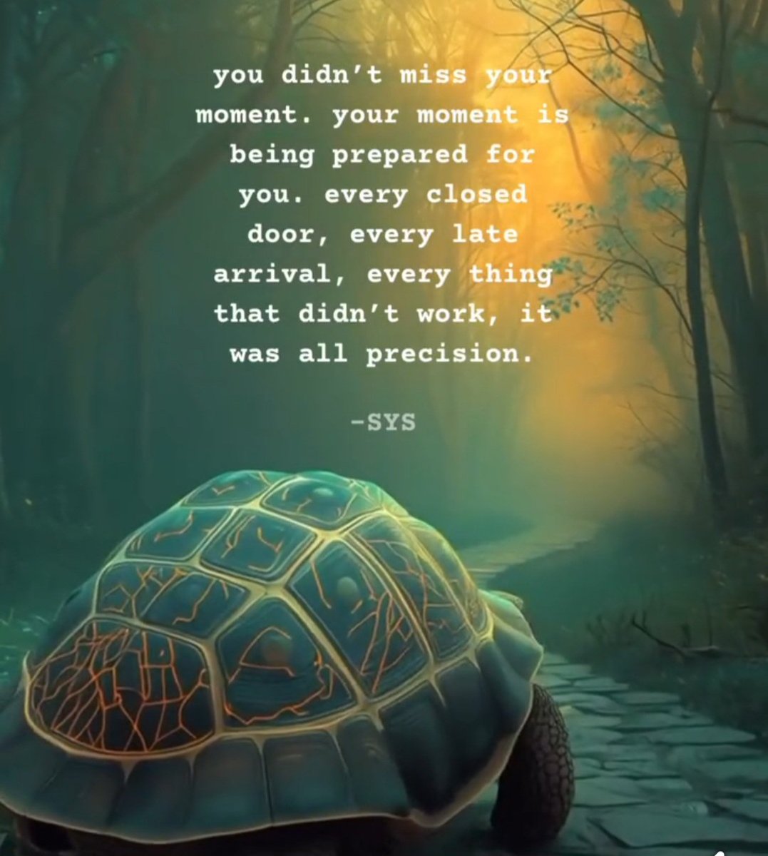 MichelleHardie6's tweet image. #TuesdayVibe