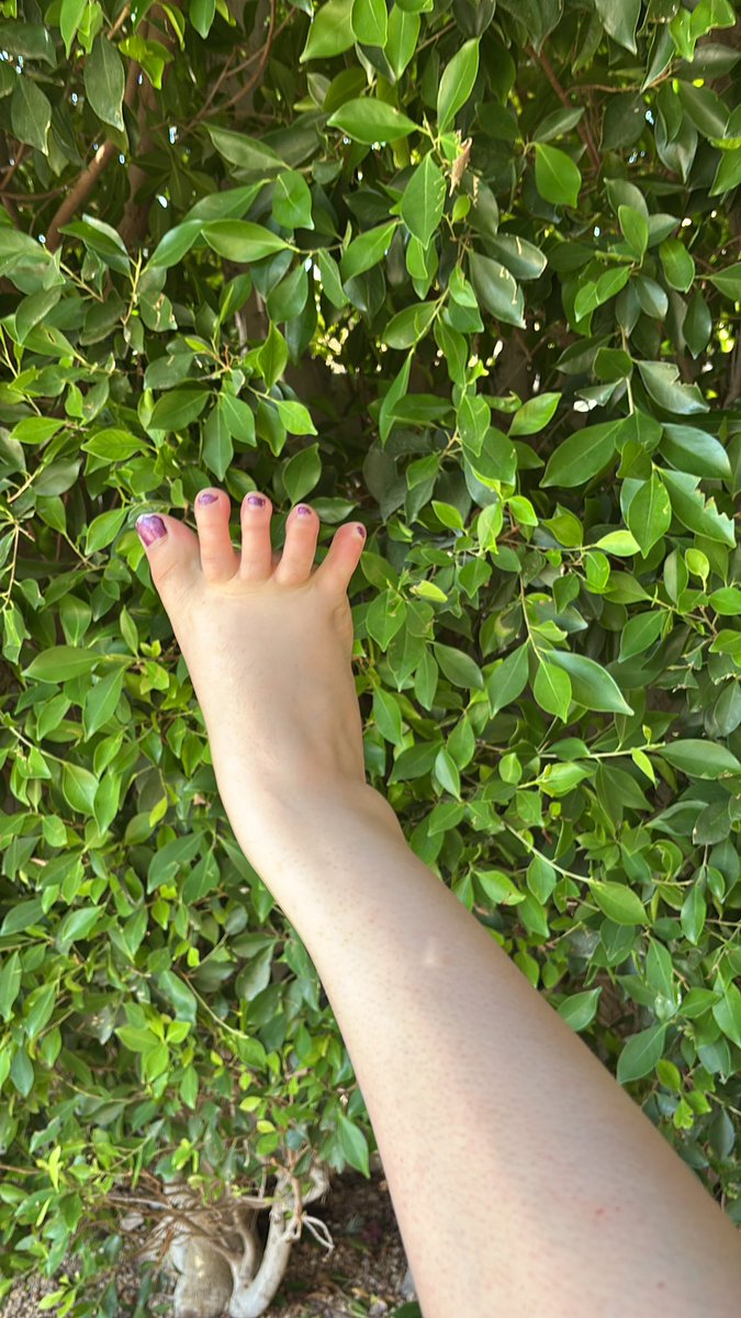 lady_mayday99's tweet image. just made brownies… 🍫✨  

they’re still warm and the house smells so good  
i might eat them outside with some ice cream 🍦 

wish i had someone to share them with… 🦋

#homemade #cozyvibes #bakingday #warmday #outdoorvibes #brownies