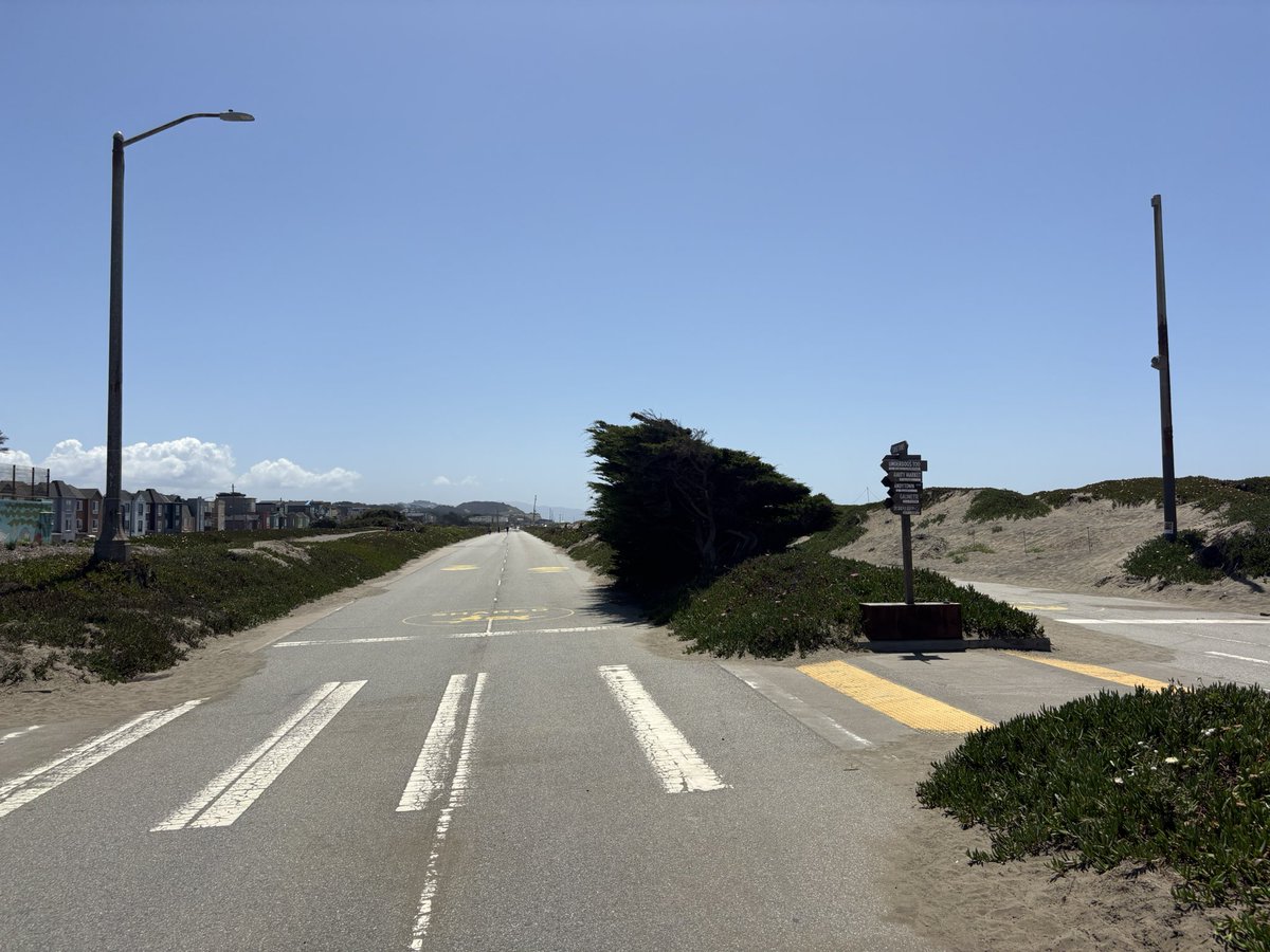 SF DMW tweet media