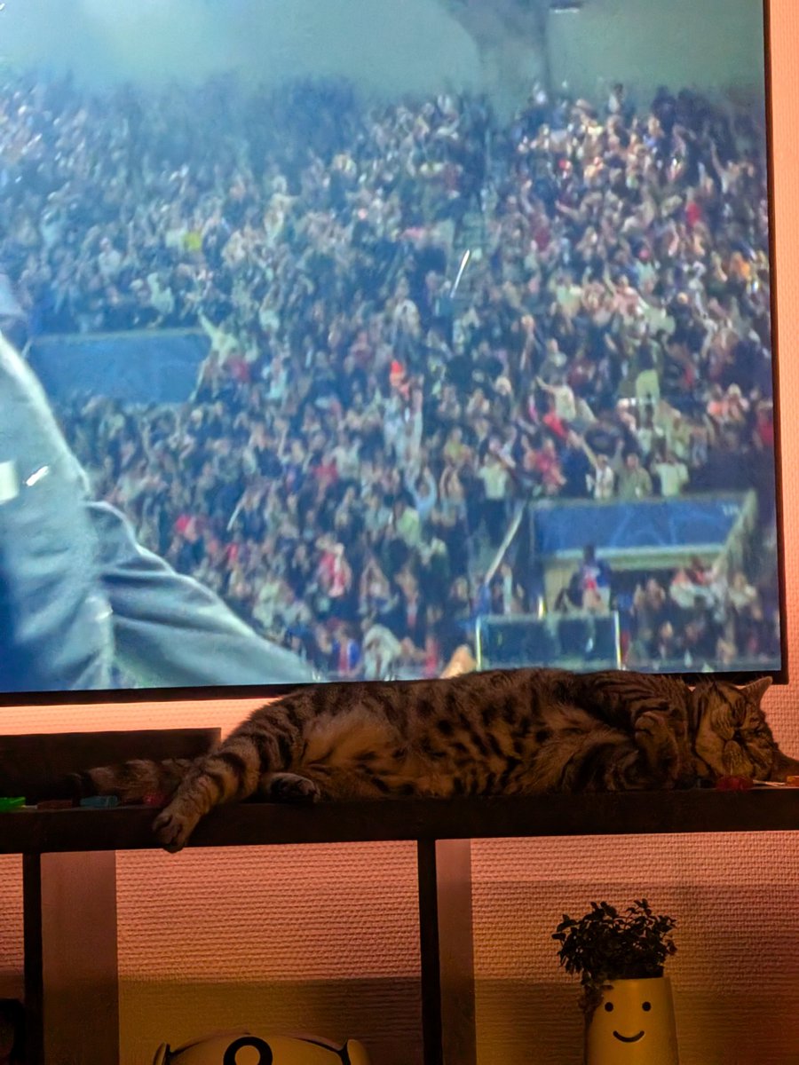 ElGorkos's tweet photo. Bayern Abwehr und Gadse haben was gemeinsam - beide schlafen #PSGFCB https://t.co/oIJpaBR7Nd
