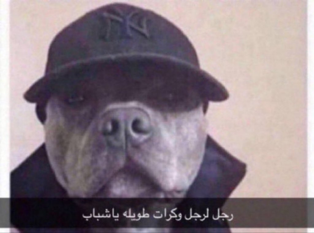 متعب tweet media