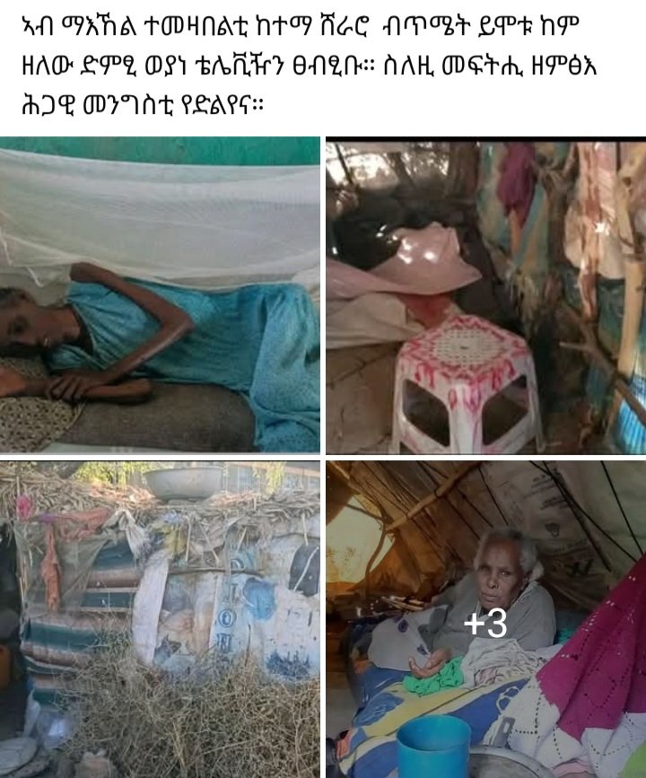 burhan181758559's tweet image. #ሕብረትተጋሩንተጋሩ
#Justice4Tigray
#2️⃣0️⃣0️⃣4️⃣DaysOfTigrgyGenocide
#UpholdpretoriaAgreemenet
@UN @hrw @AP @AFP @ABC
@burhan181758559