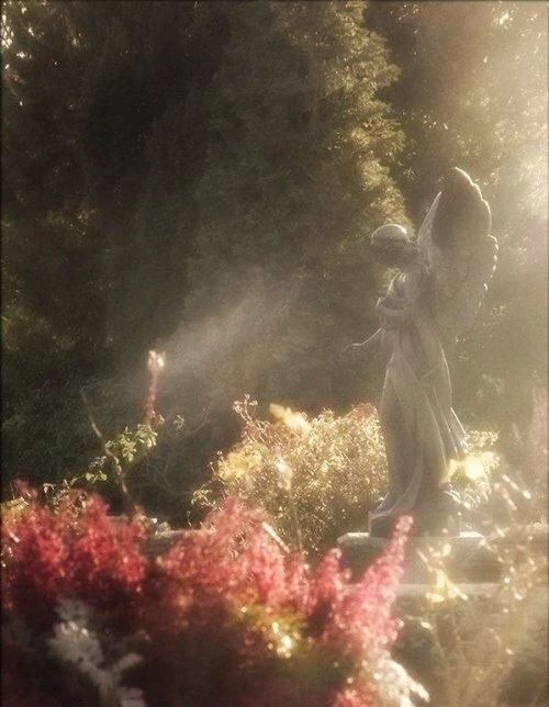 aestheticpost's tweet image. Golden light filters through the whispering forests.