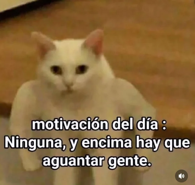 adnnoticiasmx's tweet photo. #FelizMiércoles | ¡Muy buenos días, gente trabajadora! 🤗 El equipo de adn Noticias espera que tengas un gran miércoles https://t.co/6e5Yyrc8Vv