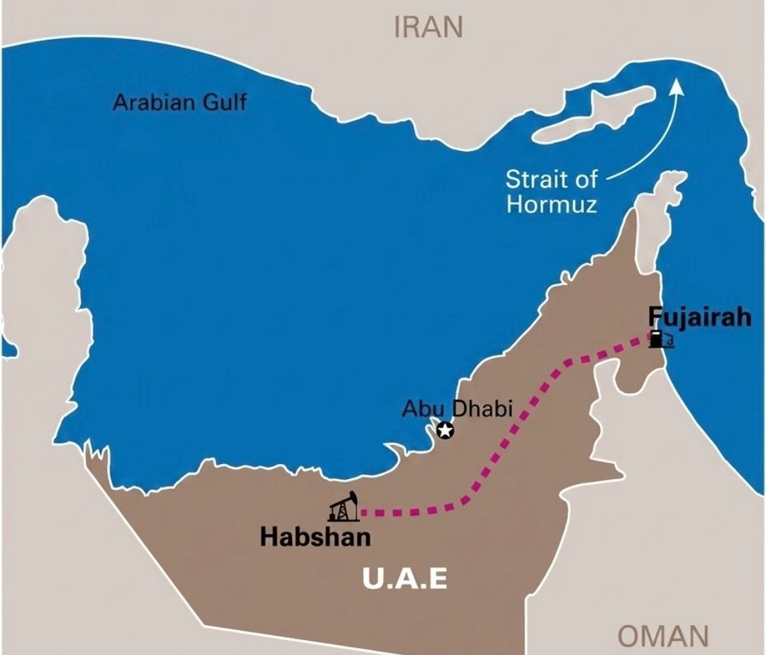 蓝V日报 tweet media