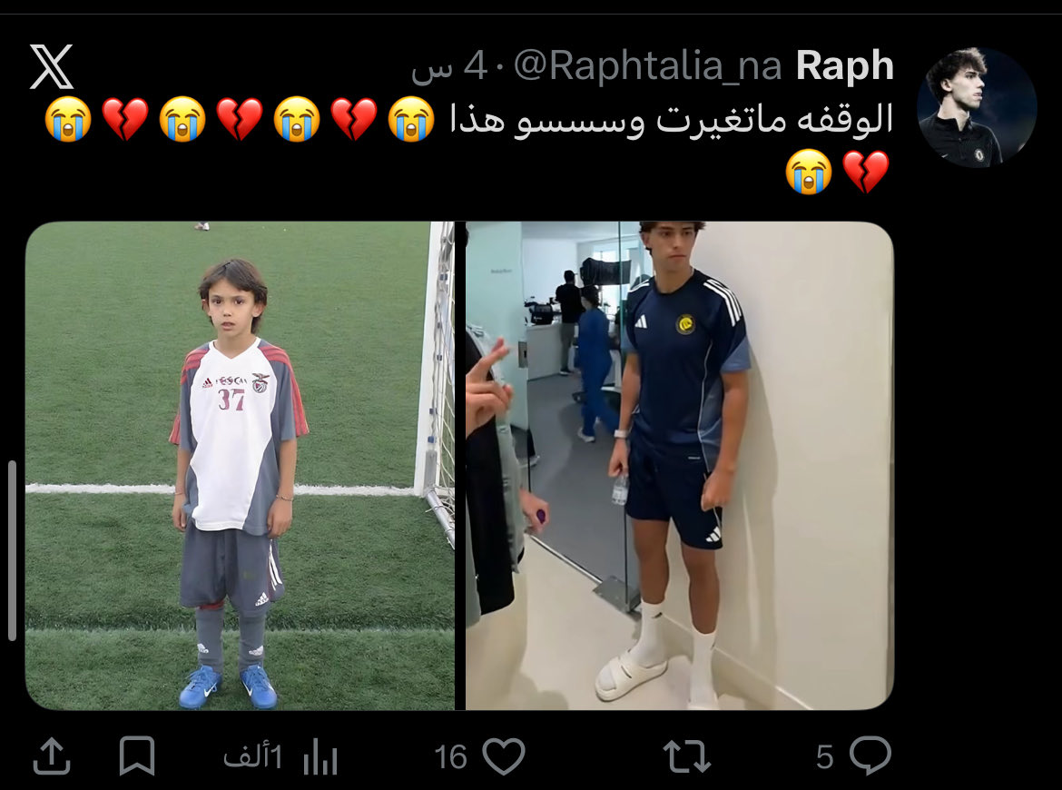 Raph tweet media