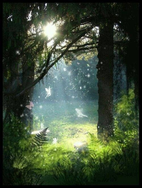 aestheticpost's tweet image. Golden light filters through the whispering forests.