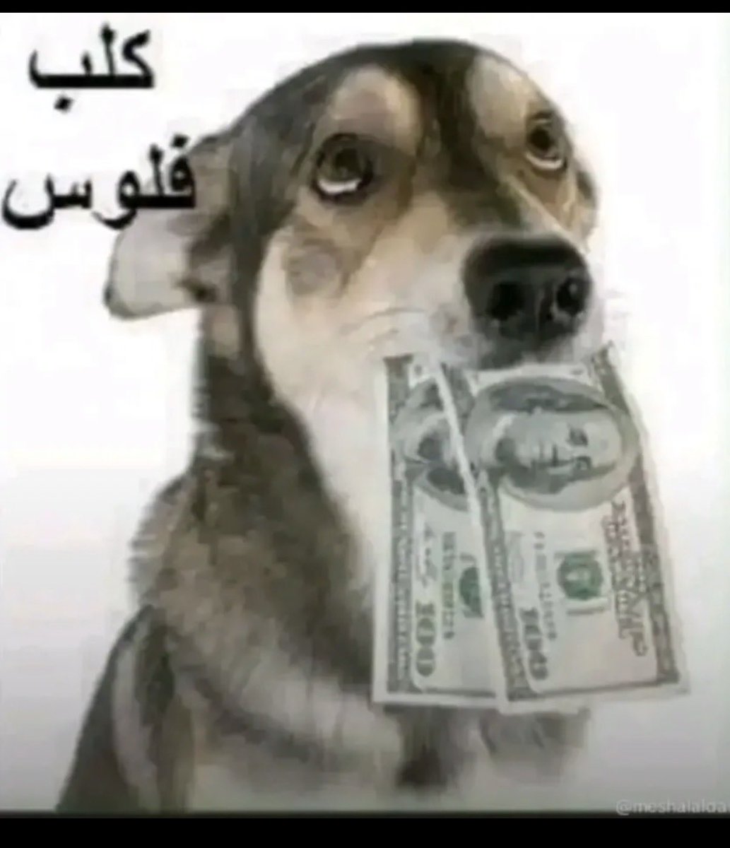 محمد tweet media