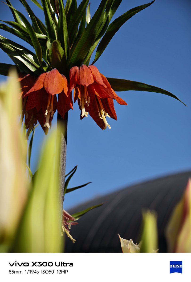 Jermaine | Concept Creator tweet media