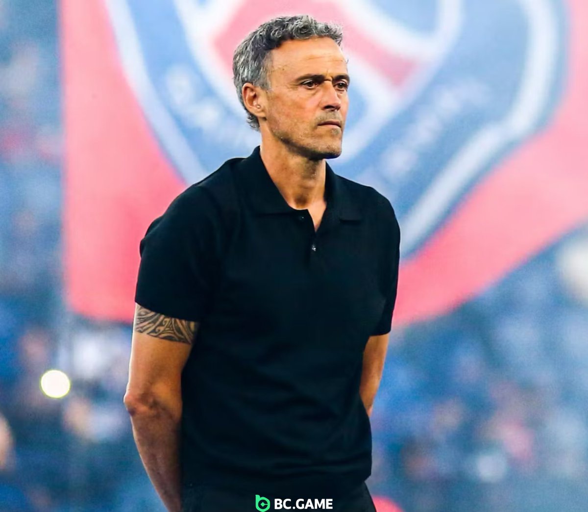 Berneese tweet media