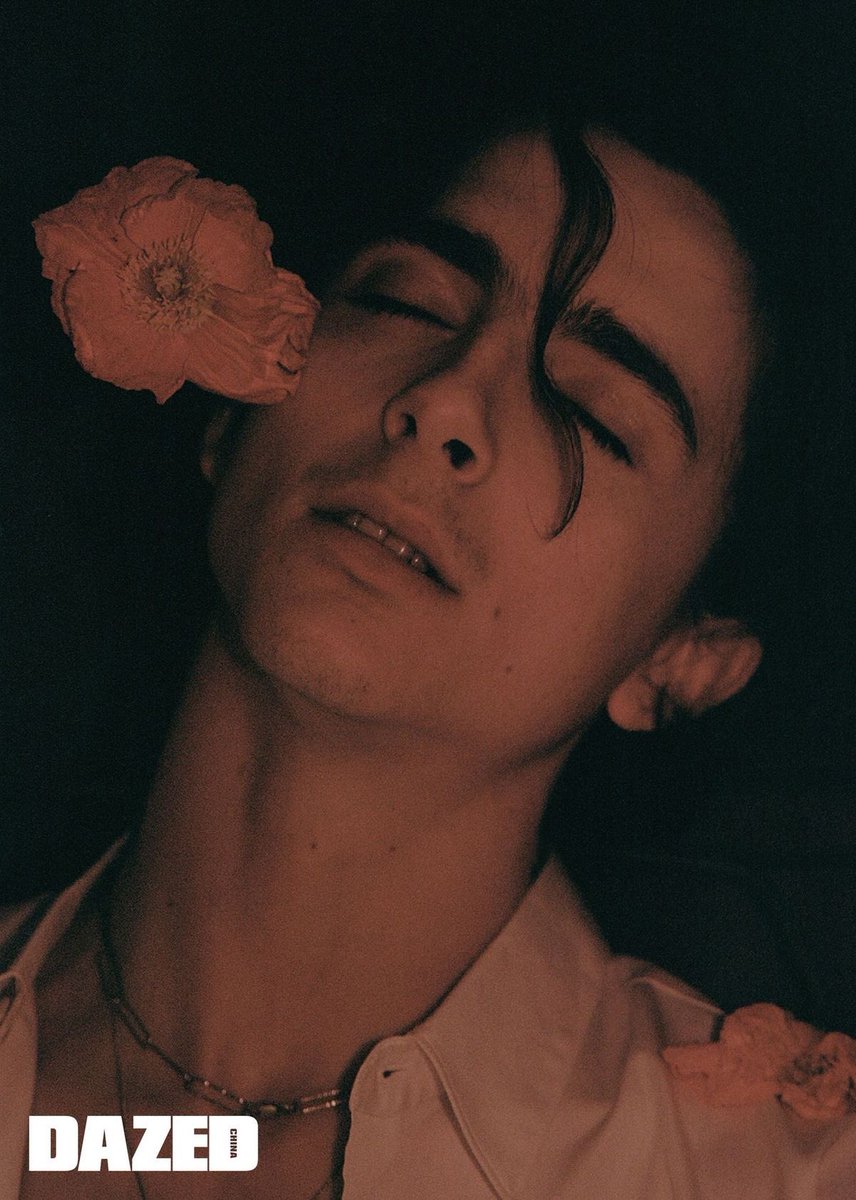 chxlametcinema's tweet photo. petal https://t.co/yc3egxI0vd