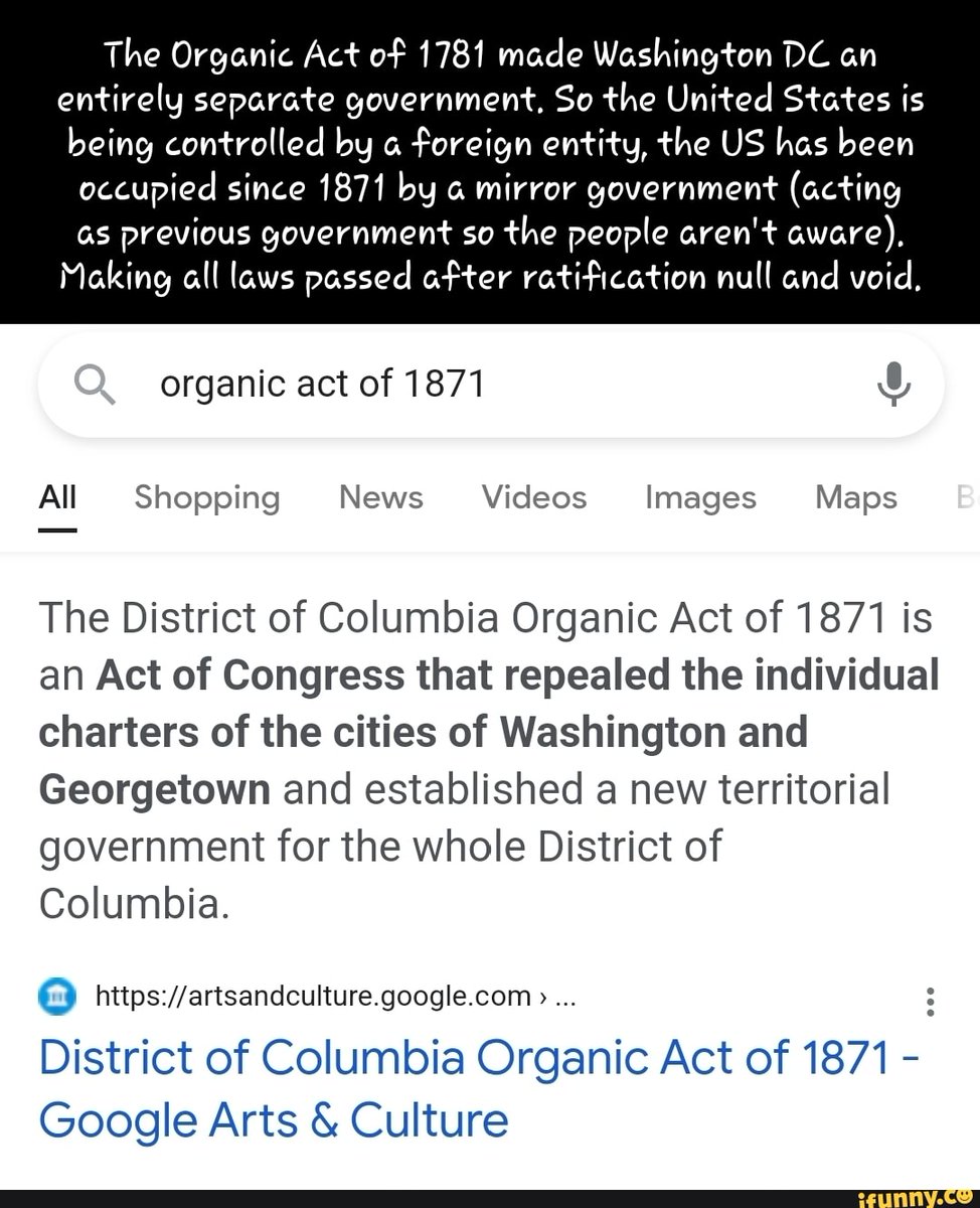 ULTRA MAGA SchnitzelChick tweet media