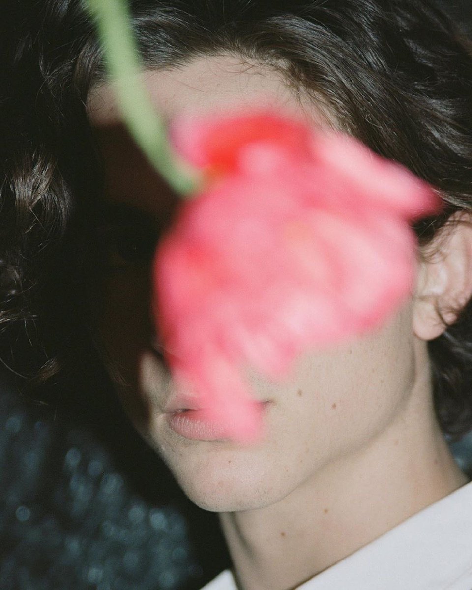 chxlametcinema's tweet photo. petal https://t.co/yc3egxI0vd
