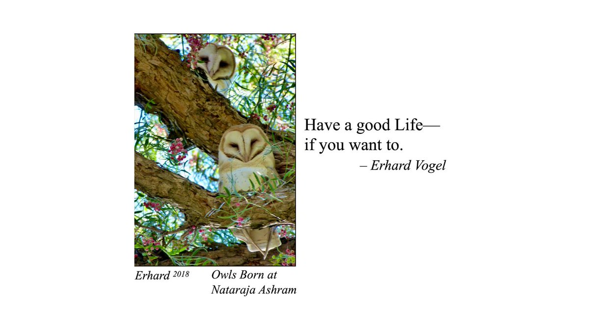 erhard_vogel's tweet image. #yoga #meditation #SelfRealization