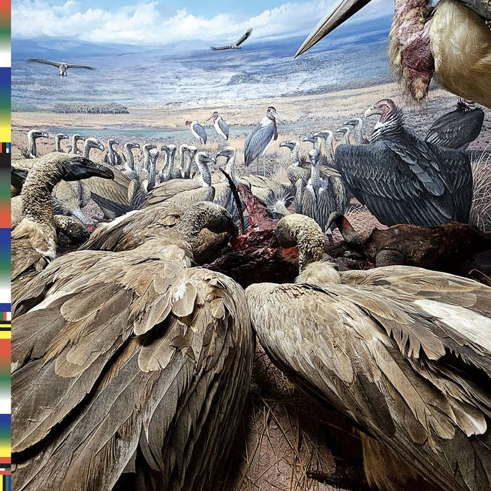 Bernardo Oliveira tweet media