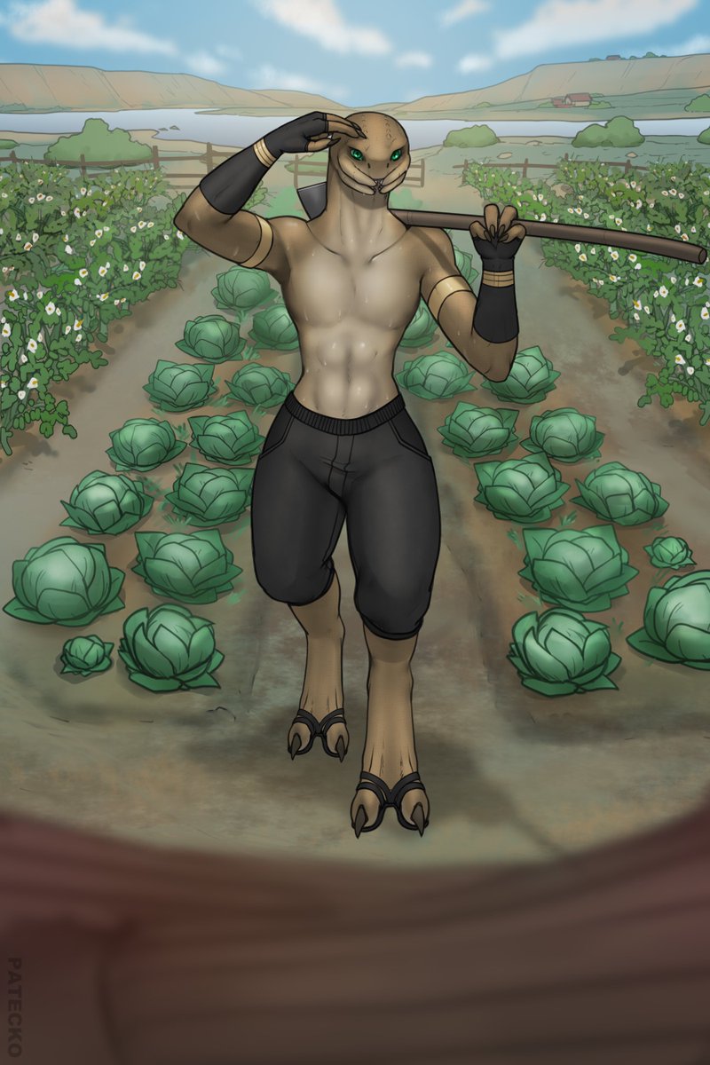 🌿🌿🌿 Patecko 🌿🌿🌿 tweet media