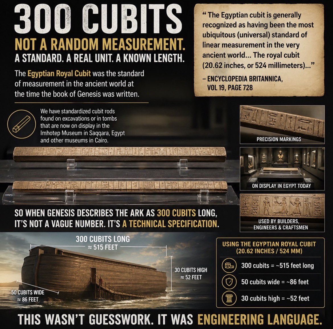 Noahs Ark Scans tweet media
