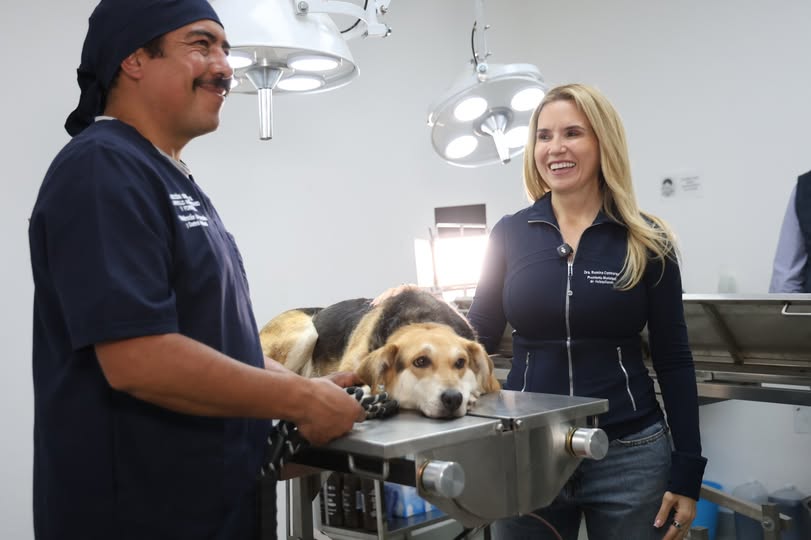 NORMA ISELA VÁSQUEZ tweet media