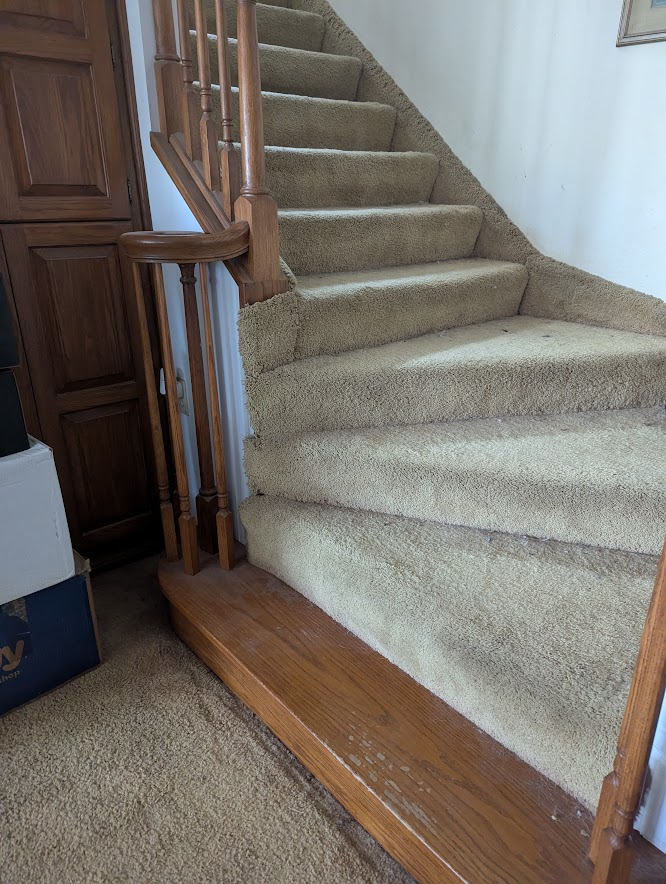 Michele Simpson tweet media